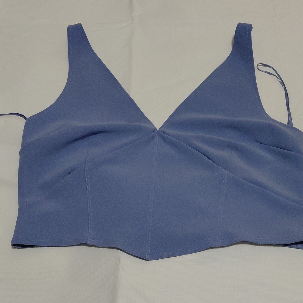 Abercrombie & Fitch Blue Crop Top